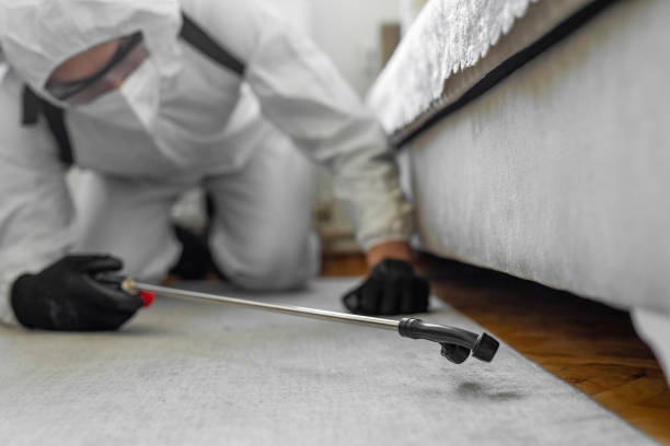 Professional Bed Bug Control technician working in Grand Terrace, CA