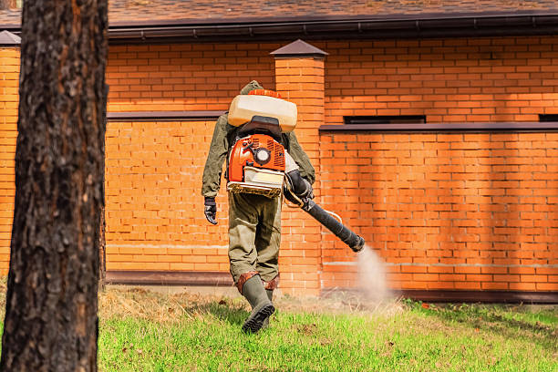 Trusted Mosquito Control service in Grand Terrace, CA - Nex Pest Control